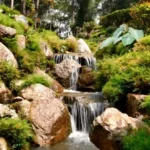 welltour trauma therapy